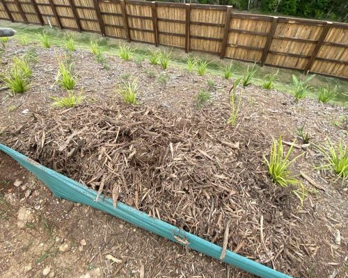 Tweed Heads Stage 13 (4)